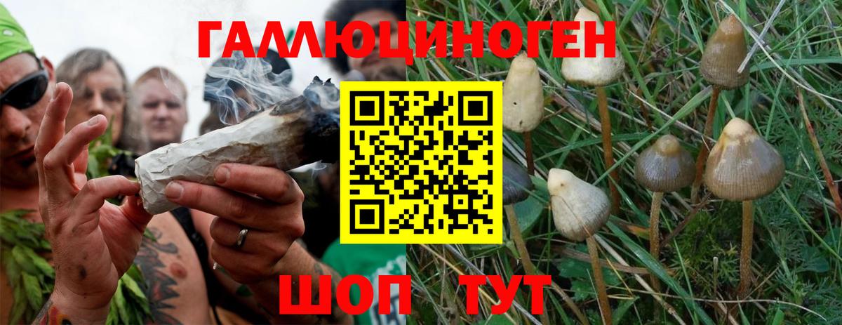 Псилоцибиновые грибы Magic Shrooms  Вход с VPN  Городец 